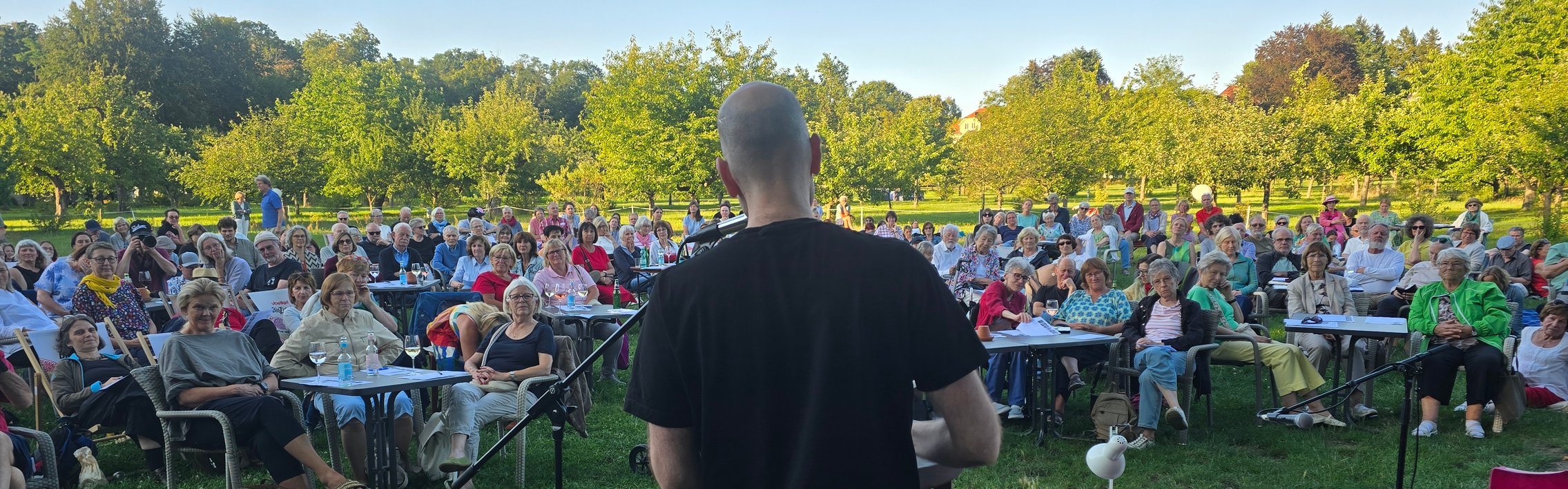 Ich lese vor einem großem Publikum auf einer Wiese, die von im Abendsonnenschein leuchtenden Bäumen umstanden ist.